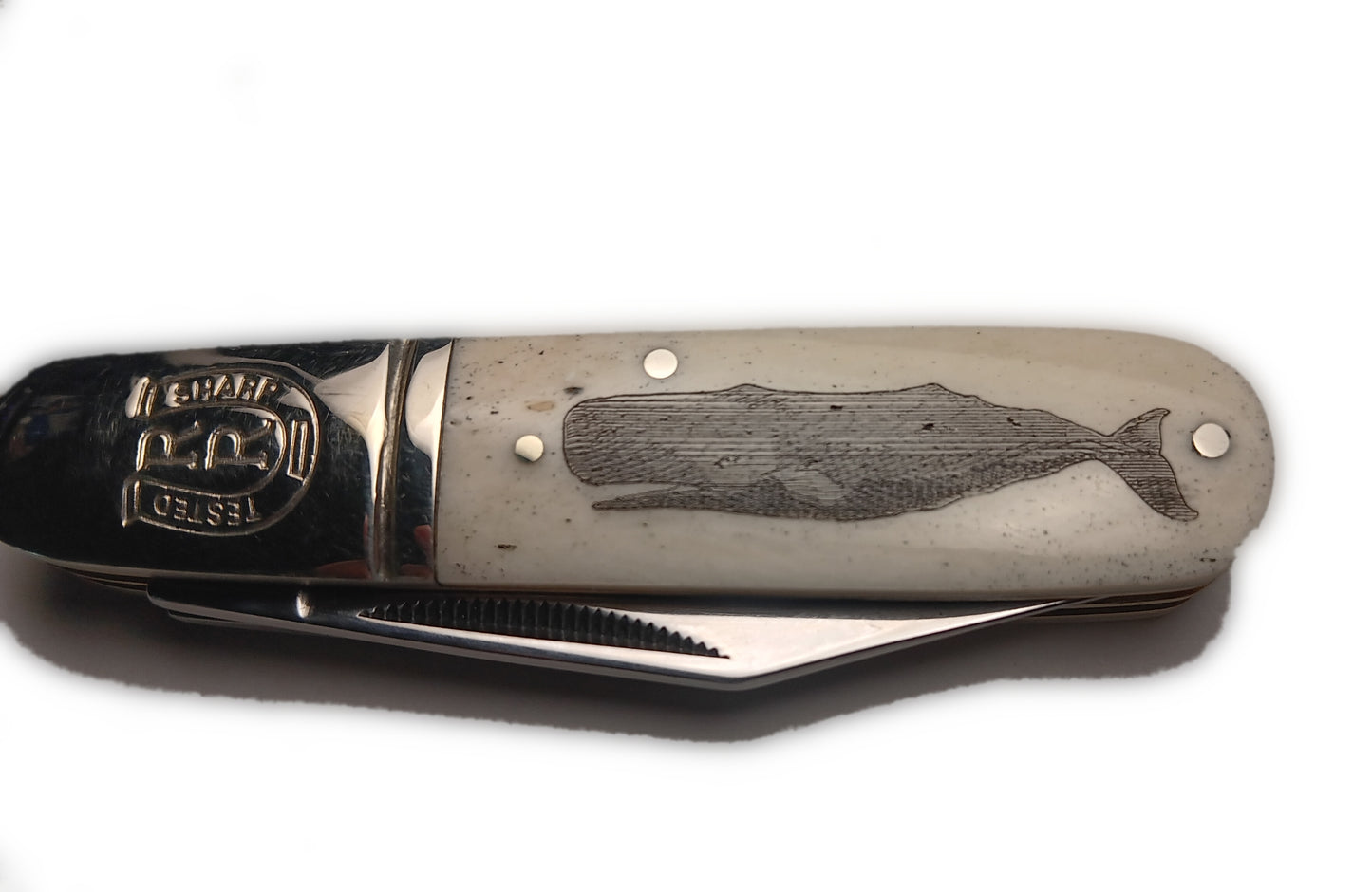 Scrimshawed Whale on Barlow-Style Knife