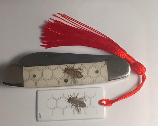 Scrimshaw Canoe Folding Knife and Bookmark Bee Keeper Set